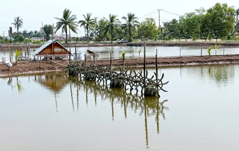 Ca Mau looks at ways to support local fishery