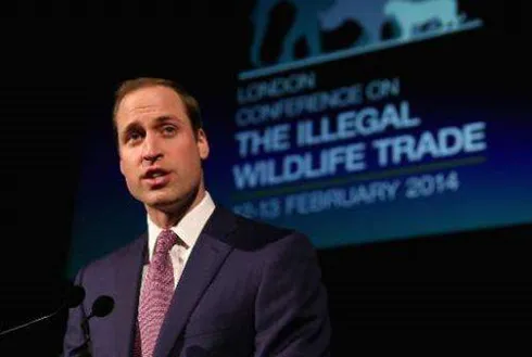 Prince William to visit Vietnam