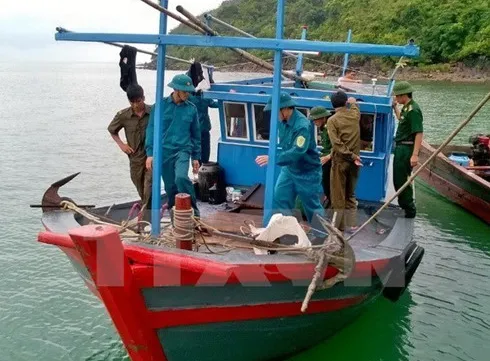 Quang Ngai promotes off-shore fishing