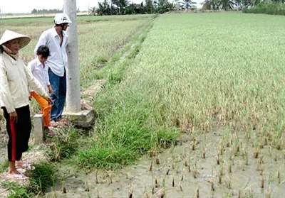 Netherlands provide Mekong Delta climate change mitigation support