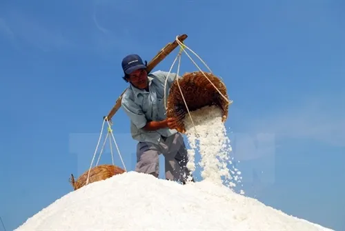 Deputy PM urges salt purchases to help farmers