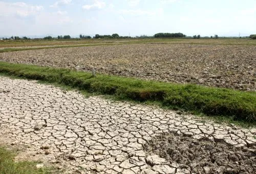 Mekong Delta Region suffers huge losses from climate change
