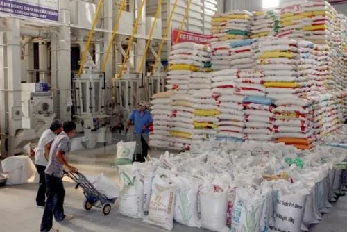 Revised protocol promotes rice exports to China