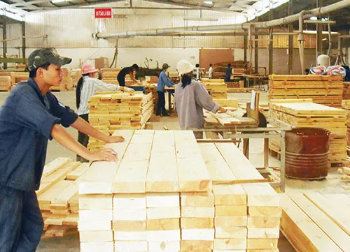 Vietnam stands fourth in wood exports