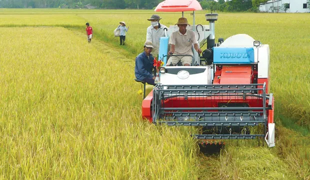 Agricultural firms need to make greater integration efforts