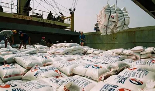 Rice exports rise sharply