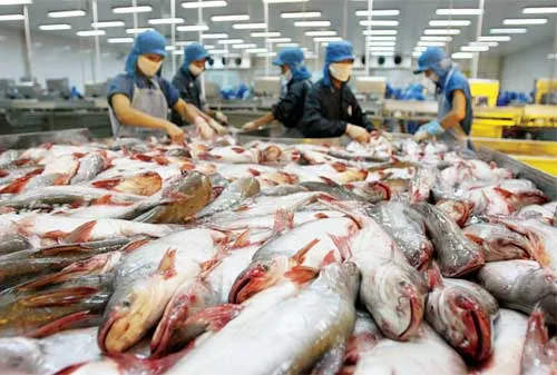 Vietnam Pangasius Association consider suing the US