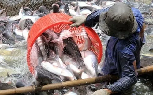 US House of Representatives to vote to end catfish import inspections