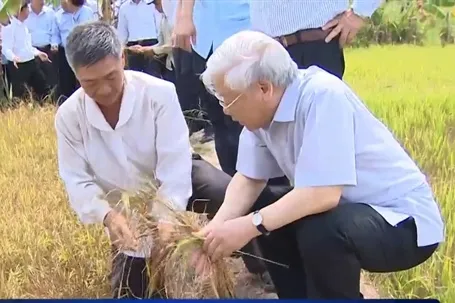 Party chief calls on efforts to tackle drought and salinization in Ben Tre