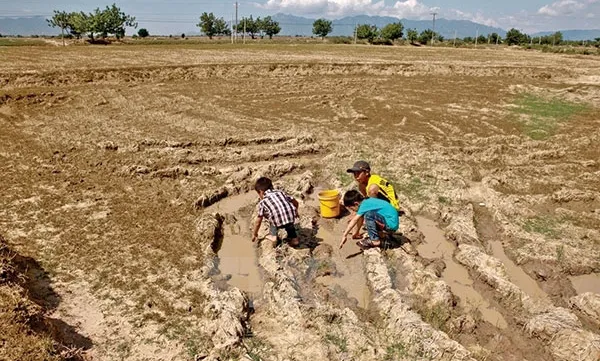 El Nino causes decline in tuna output