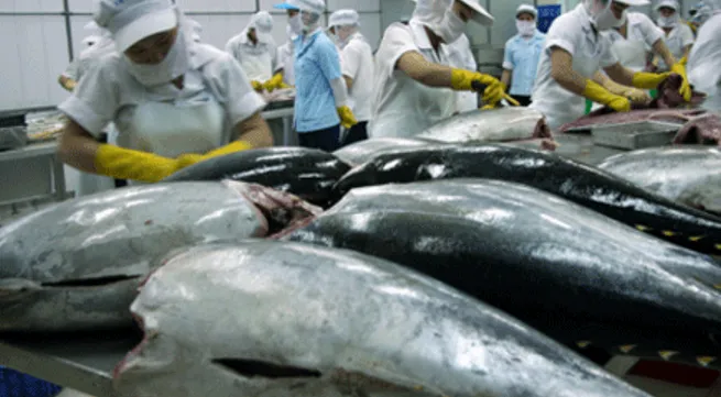 Tuna needs dolphin safety certification