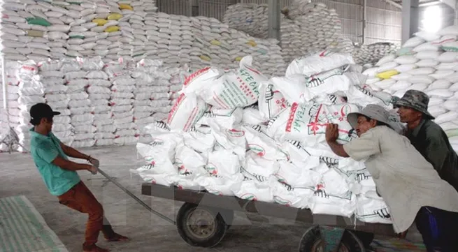 Cashew export turnover hits 1 billion USD