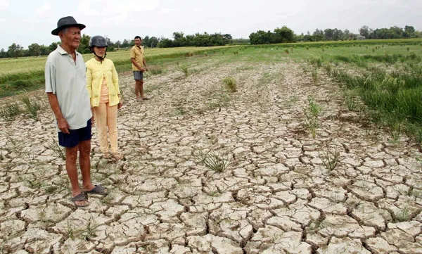 Mekong Delta forum discusses climate change response