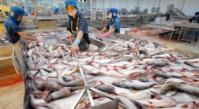 Tra fish exports to China increase by 90%