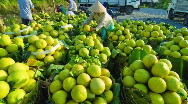 Agreement on agricultural co-operatives signed