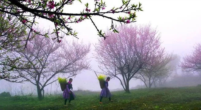 Vietnam Artistic Photo Exhibition launched