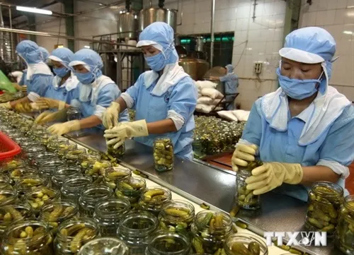 Vietnamese exporters still not take advantage of trade deals