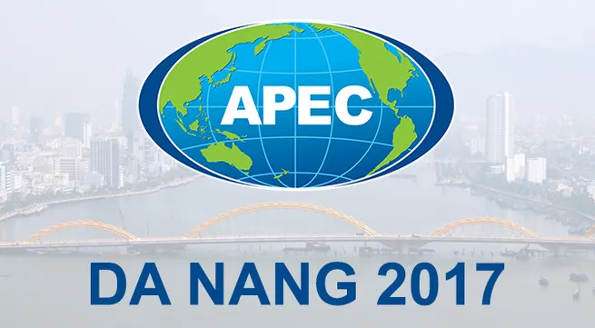 Vietnam focuses on hosting APEC year 2017