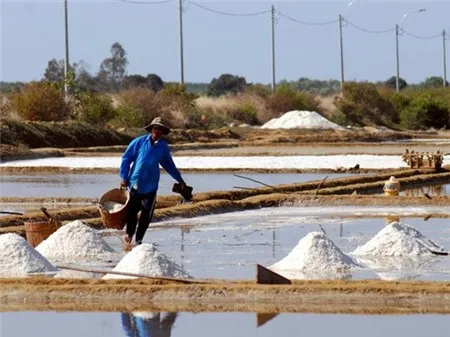 Ho Chi Minh City buy salt from farmers in Can Gio