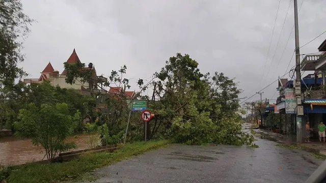 Typhoon mirinae wreaks havoc on Nam Dinh's agriculture