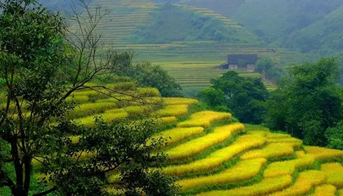 Lao Cai’s new destinations increasingly attractive to tourists