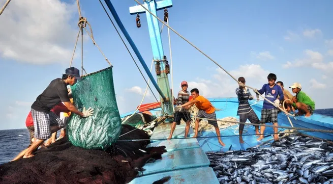 Fishermen excited to go out to sea