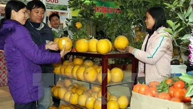 Spring Fair 2016 kicks off in Hanoi