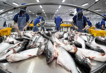 US to impose strict regulations on imported fisheries products