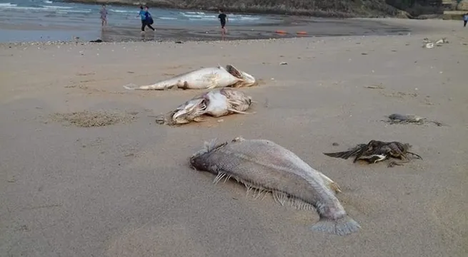 Ịmproved water in contaminated provinces