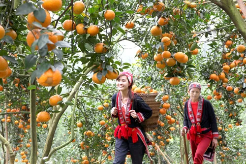 Making money from local specialities