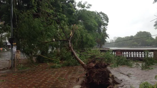 Hanoi: One dead, five injured by typhoon-triggered downpour