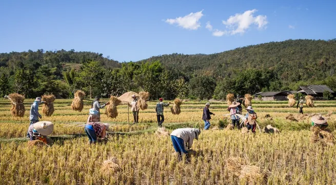 World Economic Forum on Mekong region