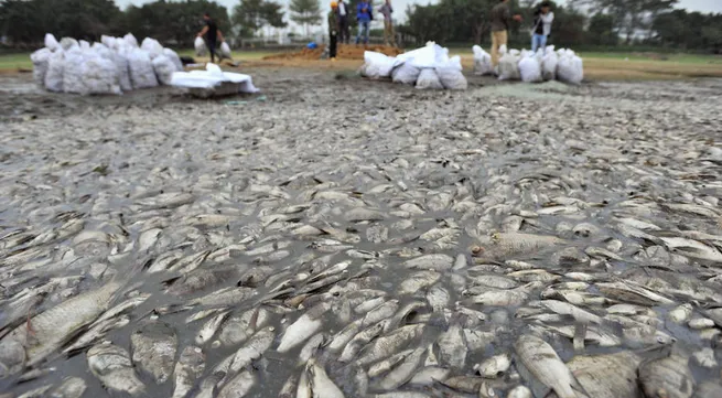 Formosa waste monitored