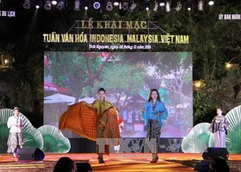 Malaysia-Indonesia-Vietnam Culture Week concludes