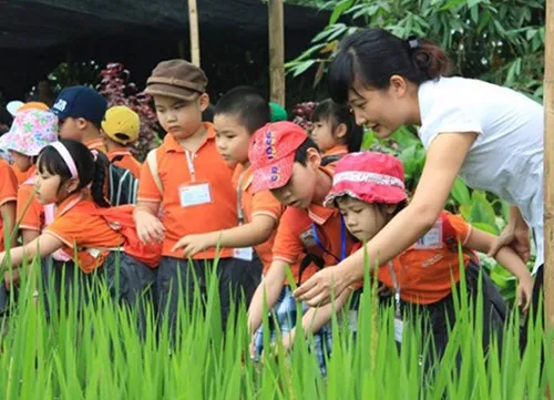 Children encouraged to adopt green lives