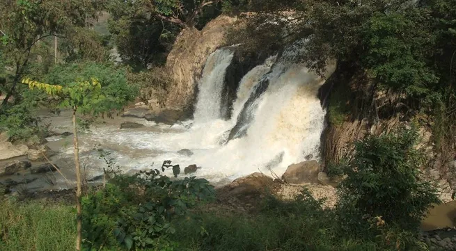 Dak Lak Province urged to cease forest exploitation