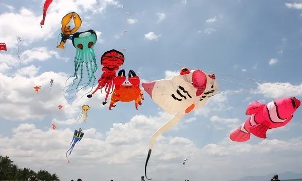 Ninh Thuan hosts international kiteboard event