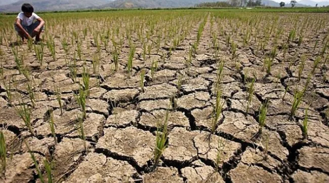 60 million people worldwide affected by El Nino phenomenon