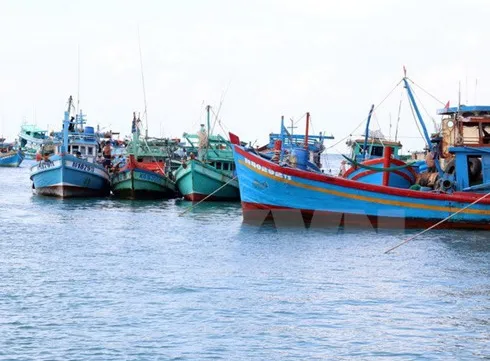 12 Vietnamese fishermen arrested by Malaysian authorities