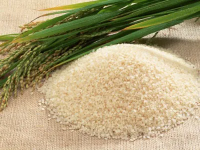 Vietnam plans to export 5.7 million tonnes of rice
