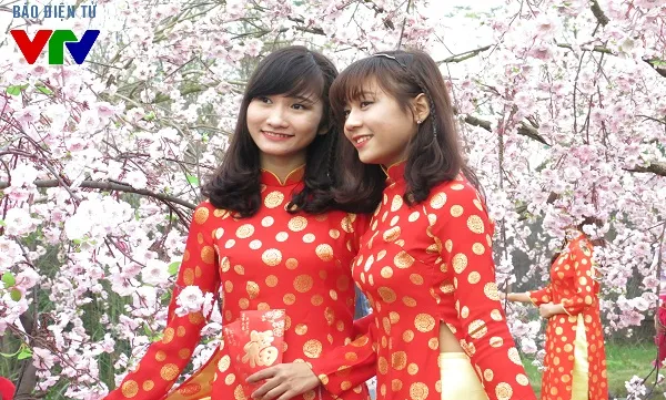 Ao Dai festival 2016 closes in Ho Chi Minh City
