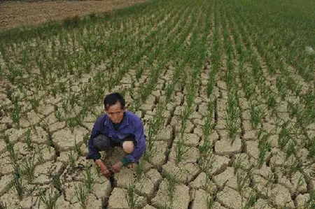 Central Highlands action to fight extensive drought