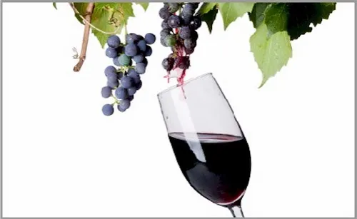 Ninh Thuan grape and wine Festival