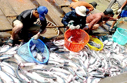 Fishermen receive further supports after mass fish deaths