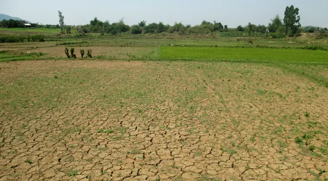 Gia Lai faces high risk of forest fires