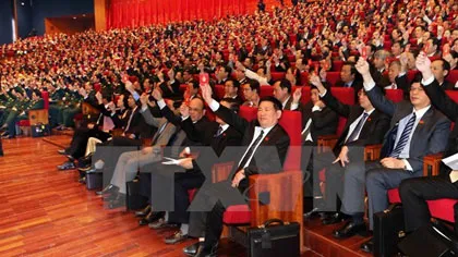 Party Congress discusses institutional reform and growth model renovation