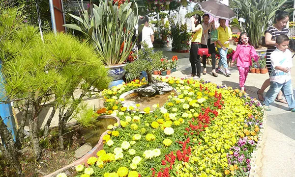 Dalat ready for 2015 flower festival