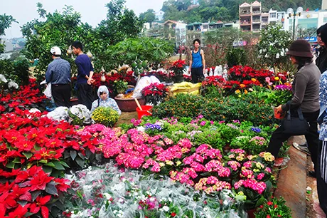 Hi-tech flowers popular ahead of Tet