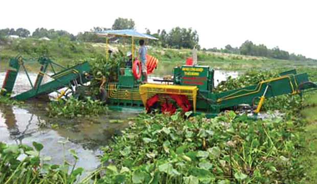 Fern catcher proves effective for rural environment