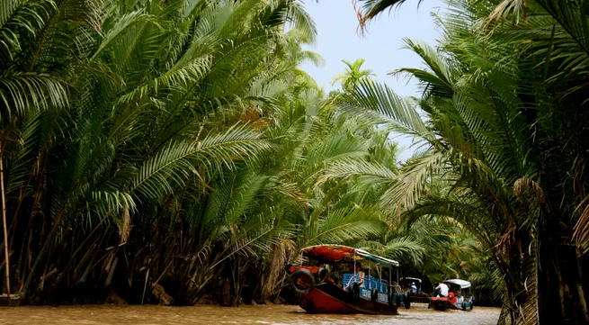 Vietnam seeks solutions to prevent saltwater intrusion in Mekong Delta
